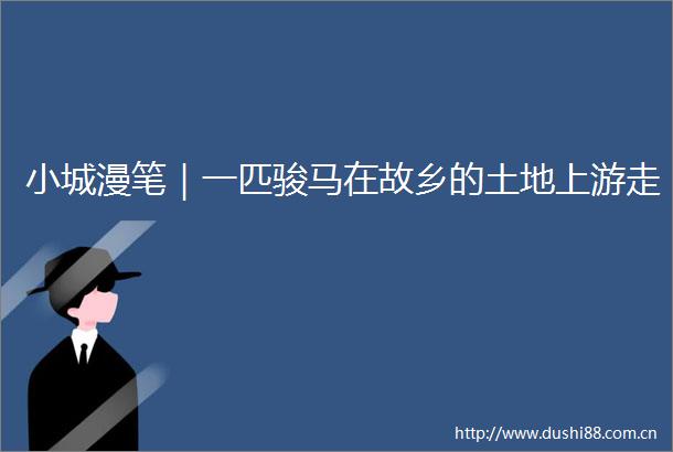 小城漫笔｜一匹骏马在故乡的土地上游走
