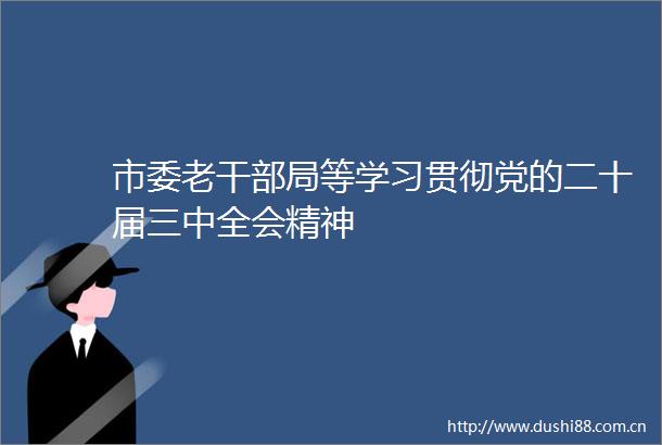 市委老局等学习贯彻党的二十届三中全会精神