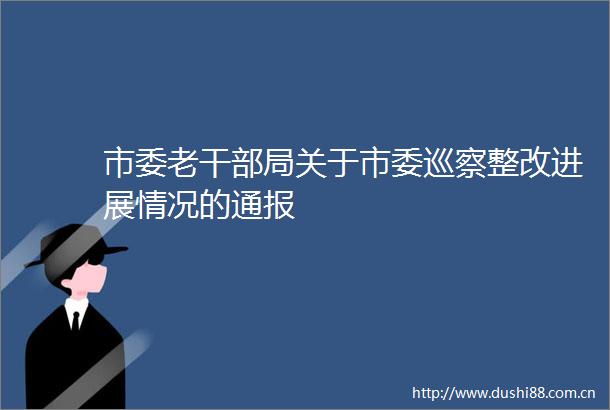市委老局关于市委巡察整改进展情况的通报