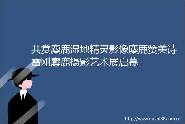 共赏麋鹿湿地精灵影像麋鹿赞美诗雷刚麋鹿摄影艺术展启幕