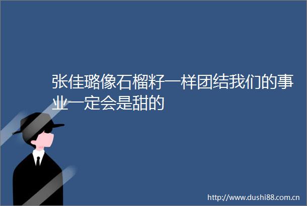 张佳璐像石榴籽一样团结我们的事业一定会是甜的