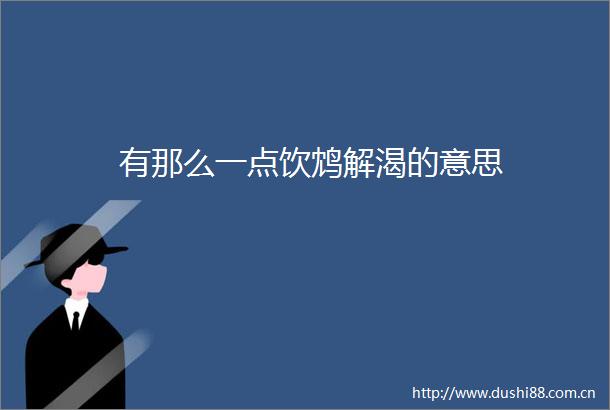 有那么一点饮鸩解渴的意思