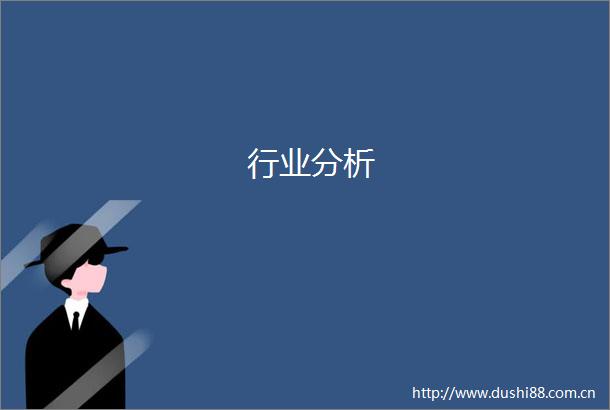 行业分析