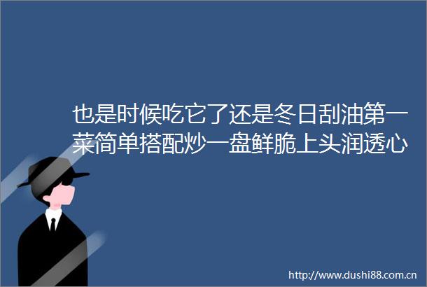 也是时候吃它了还是冬日刮油第一菜简单搭配炒一盘鲜脆上头润透心窝清淡好味吃不停