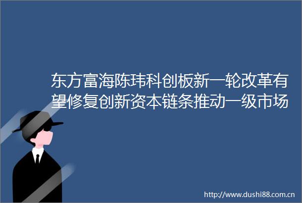 东方富海陈玮科创板新一轮改革有望修复创新资本链条推动一级市场投资逻辑回归