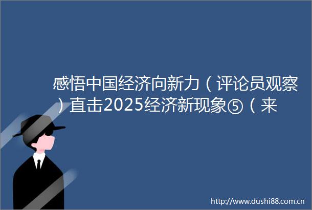 感悟经济向新力（评论员观察）直击2025经济新现象⑤（来源日报审核王爽发布贡雅雯）