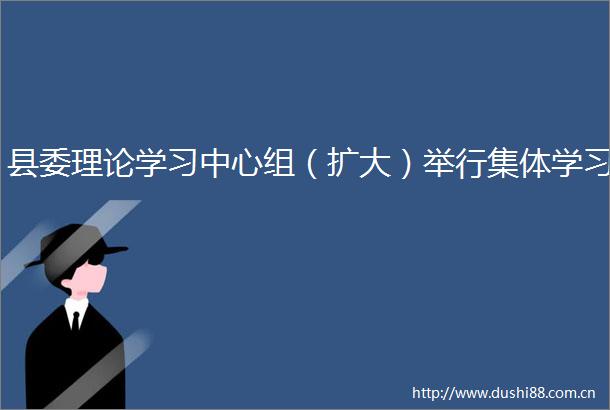 县委理论学习中心组（扩大）举行集体学习