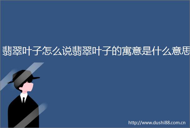 翡翠叶子怎么说翡翠叶子的寓意是什么意思