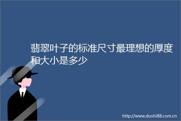 翡翠叶子的标准尺寸最理想的厚度和大小是多少