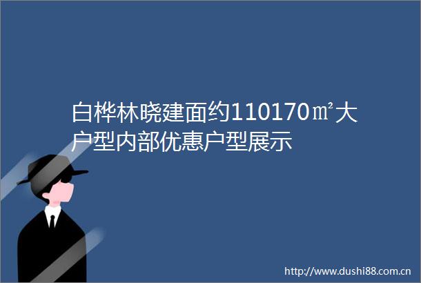 白桦林晓建面约110170㎡大户型内部优惠户型展示