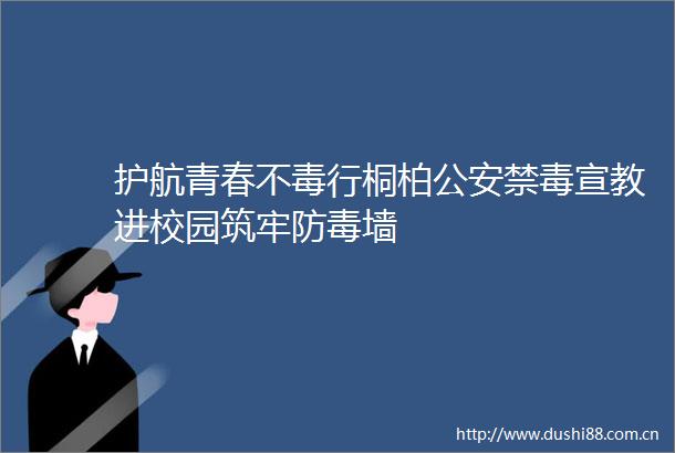 护航青春不毒行桐柏禁毒宣教进校园筑牢防毒墙
