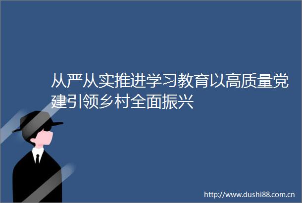 从严从实推进学习教育以高质量党建引领乡村全面振兴