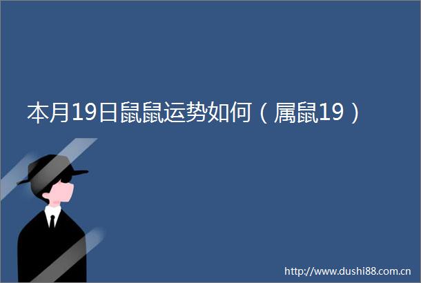 本月19日鼠鼠运势如何（属鼠19）