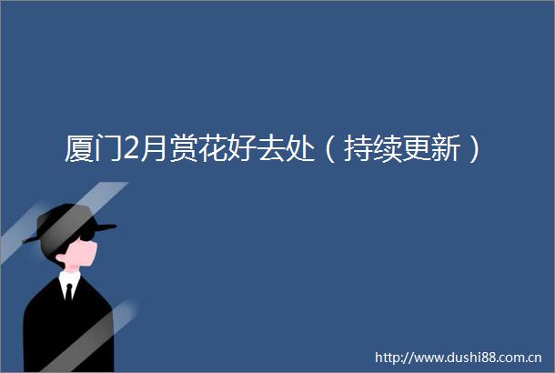 厦门2月赏花好去处（持续更新）