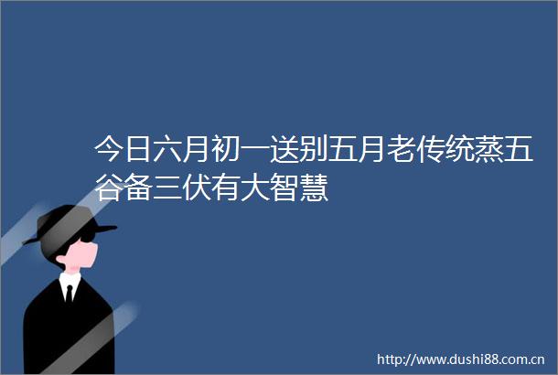 今日六月初一送别五月老传统蒸五谷备三伏有大智慧