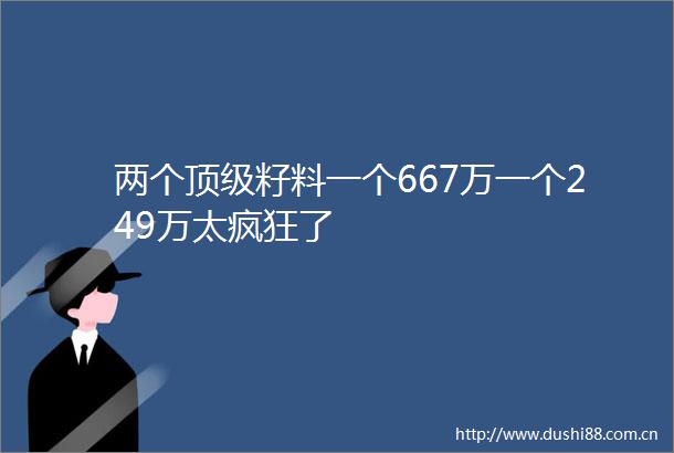 两个顶级籽料一个667万一个249万太疯狂了