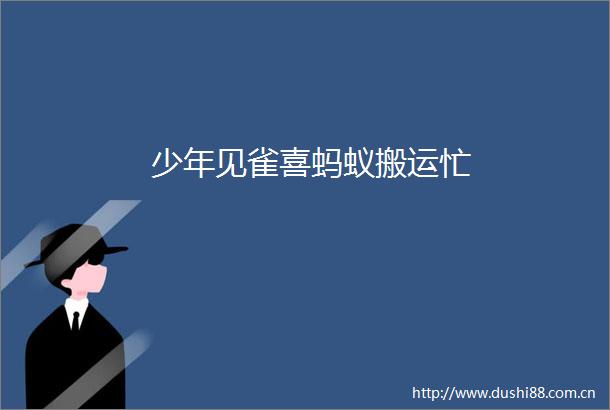 少年见雀喜蚂蚁搬运忙