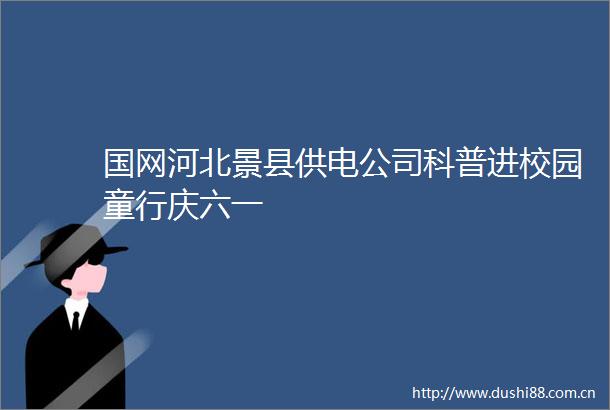 国网河北景县供电公司科普进校园童行庆六一