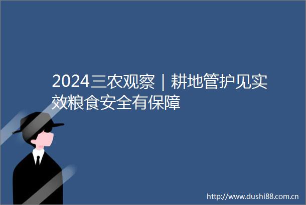 2024三农观察｜耕地管护见实效粮食安全有保障