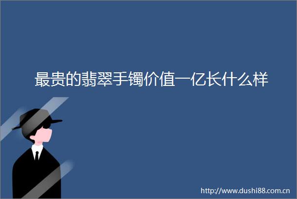 最贵的翡翠手镯价值一亿长什么样