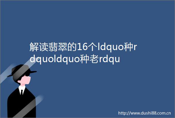 解读翡翠的16个ldquo种rdquoldquo种老rdquo和ldquo种嫩rdquo