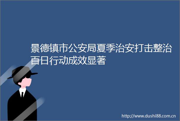 景德镇市局夏季治安打击整治百日行动成效显著