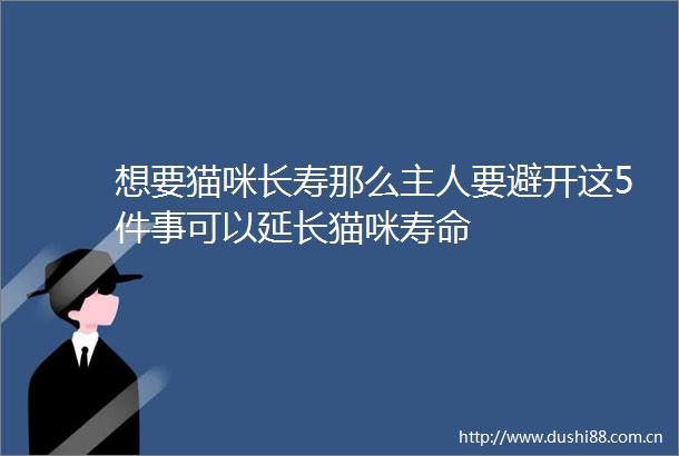 想要猫咪长寿那么主人要避开这5件事可以延长猫咪寿命