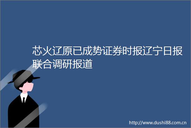 芯火辽原已成势证券时报辽宁日报联合调研报道