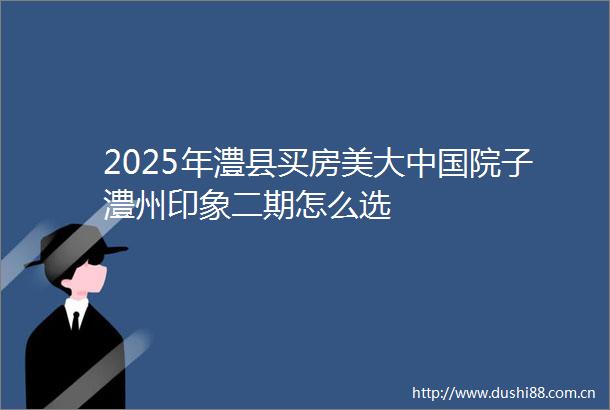 2025年澧县买房美大院子澧州印象二期怎么选