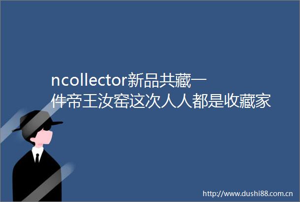 ncollector新品共藏一件帝王汝窑这次人人都是收藏家