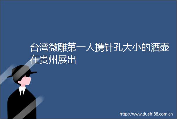 台湾微雕第一人携针孔大小的酒壶在贵州展出