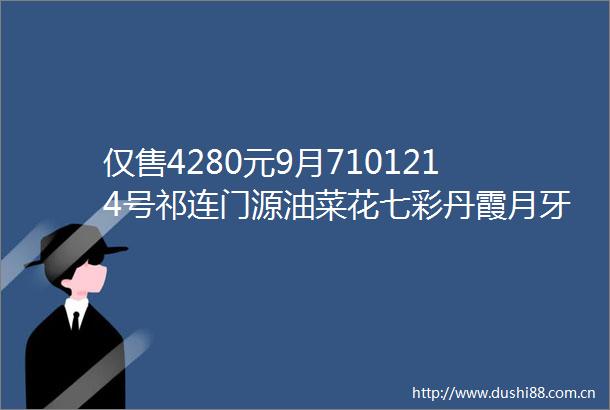 仅售4280元9月7101214号祁连门源油菜花七彩丹霞月牙泉莫高窟翡翠湖茶卡盐湖青海湖双飞纯玩八日游