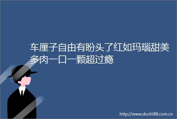 车厘子自由有盼头了红如玛瑙甜美多肉一口一颗超过瘾