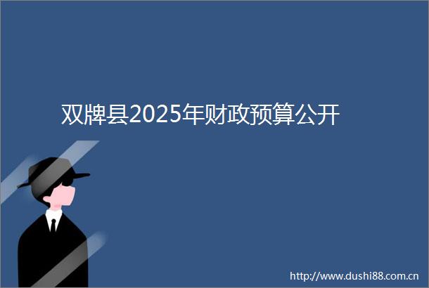 双牌县2025年财政预算公开