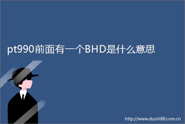 pt990前面有一个BHD是什么意思