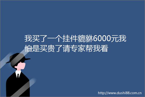 我买了一个挂件貔貅6000元我怕是买贵了请专家帮我看