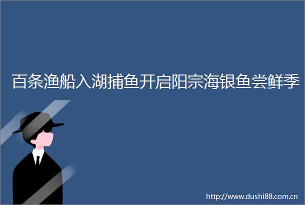百条渔船入湖捕鱼开启阳宗海银鱼尝鲜季