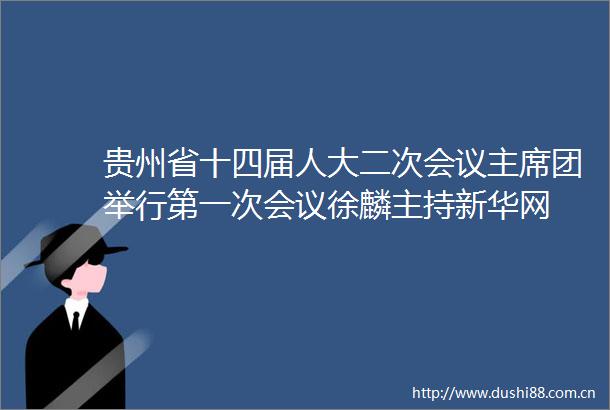 贵州省十四届人大二次会议团举行第一次会议徐麟主持新华网
