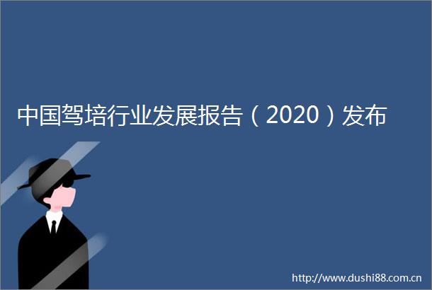 驾培行业发展报告（2020）发布