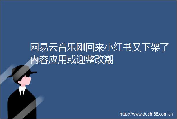 网易云音乐刚回来小红书又下架了内容应用或迎整改潮
