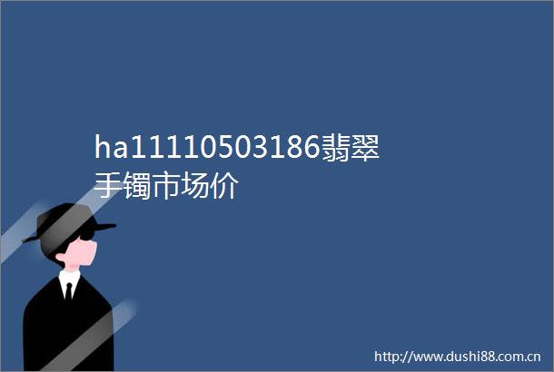 ha11110503186翡翠手镯市场价