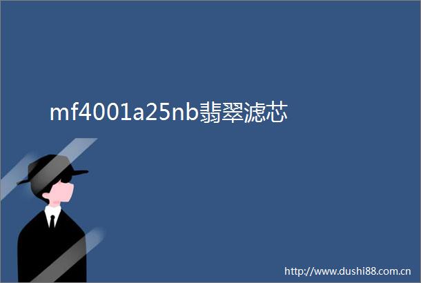 mf4001a25nb翡翠滤芯