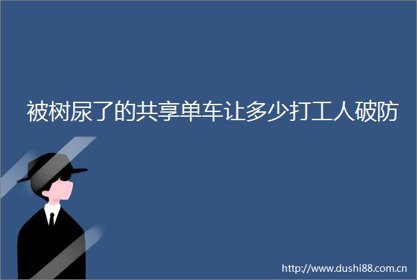 被树尿了的共享单车让多少打工人破防