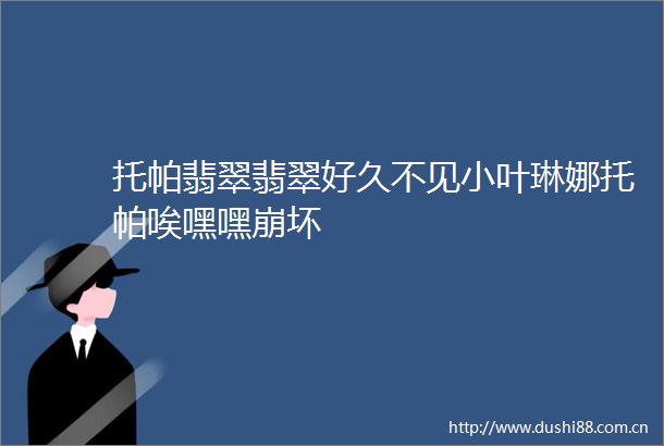 托帕翡翠翡翠好久不见小叶琳娜托帕唉嘿嘿崩坏