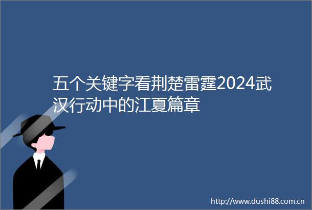 五个关键字看荆楚雷霆2024武汉行动中的江夏篇章