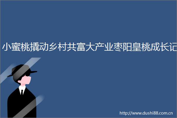 小蜜桃撬动乡村共富大产业枣阳皇桃成长记