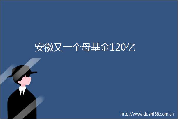 安徽又一个母基金120亿