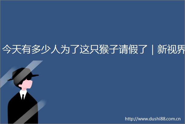 今天有多少人为了这只猴子请假了｜新视界