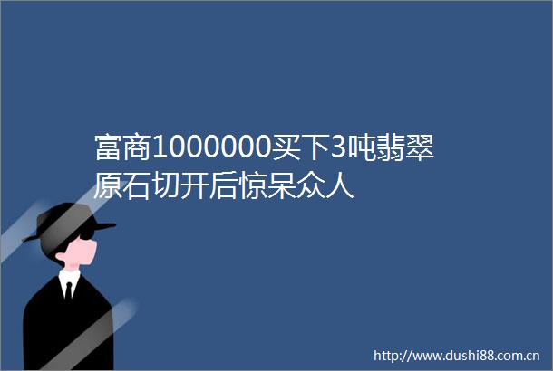 富商1000000买下3吨翡翠原石切开后惊呆众人