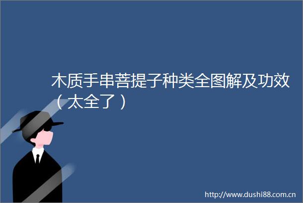 木质手串菩提子种类全图解及功效（太全了）